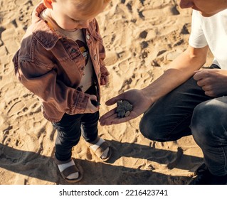 A Father And A Son On The Beach Picking Up Rocks