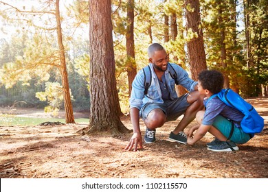 Father And Son On Hiking Adventure In Woods By Lake - Powered by Shutterstock