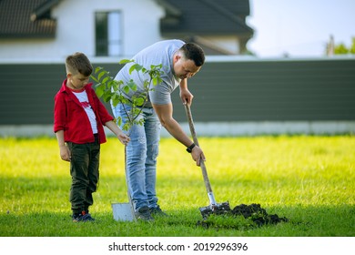  Father And Son Planting Tree Father Holding The Shovel And Son Holding Bucket Of Water And Tree At Front Of House, Nice Sunny Day, Father And Son Work Together, Planting A Family Tree. 