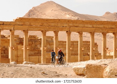 Father and son ride their bikes through the Syrian desert. Behind them are ancient Roman ruins. Syria before the war. Palmyra, Syria, the Middle East. November 12, 2008.
