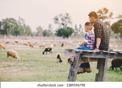 Vater und Sohn im Schafhaltungsbetrieb; Die Landwirte kümmern sich um die Tiere auf dem Bauernhof.Schafe und Ziegen auf dem Bauernhof