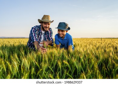 Father And Son Are Standing In Their Growing Wheat Field. Father Is Teaching His Successor About Agriculture.