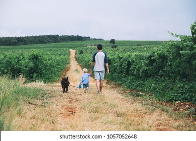 Father and son walking with dog on nature, outdoors. Family background. Dad and his kid walking on trail among field and vineyards.