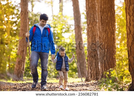 Similar – Image, Stock Photo Autumn forest and mountain lake