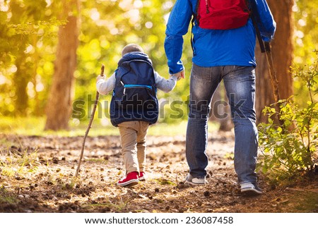 Similar – Image, Stock Photo Autumn forest and mountain lake