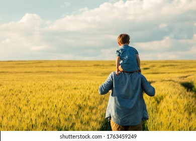 Vater und Sohn auf Weizenfeld, Kind auf den Schultern seiner Väter