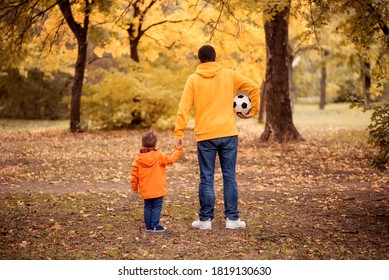 Father And Toddler Son Walking Holding Hands In Autumn Forest Or Park, View From Behind. Dad And Child Going To Play Football Together, Dad Carrying Soccer Ball. Active Family Leisure Concept