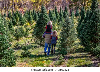 Father and Two Daughters Walking Through Christmas Tree Farm