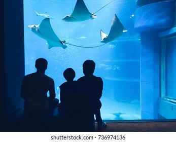 Father and two sons watching fish in a large aquarium,silhouette.