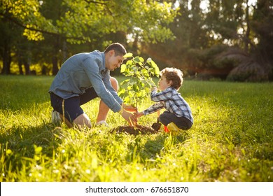 Father wearing gray shirt   shorts   son in checkered shirt   pants planting tree under sun  