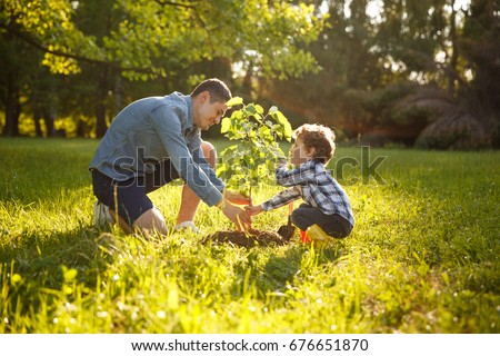 Father wearing gray shirt and shorts and son in checkered shirt and pants planting tree under sun. 