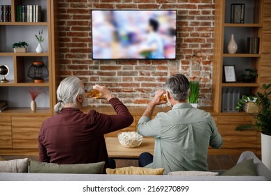 Fathers day. Adult son with senior father watching football game on TV and celebrating victory sitting on couch at home. Two generations family enjoy spending time together. Sport and entertainment.