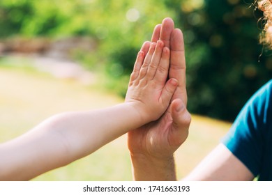 Father's Day. Dad And Son. Children's Hand And Father's Hand, Give Five. Father And Little Boy. Hands Of A Child In The Hand Of An Adult Dad. Father Gives 