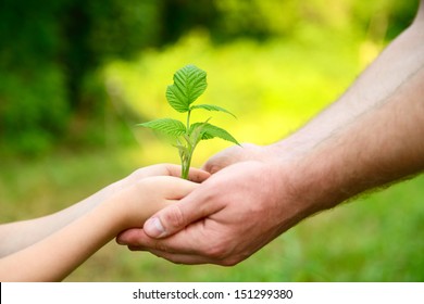 Father's And Son's Hands Holding Green Growing Plant Over Nature Background. New Life, Spring And Ecology Concept