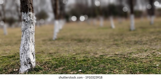 Fatima Jinnah Park G-9 Islamabad Pakistan 