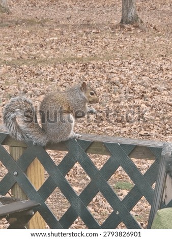 fattening up for the fall