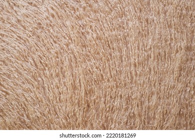 Faux Fur Texture Color Beige