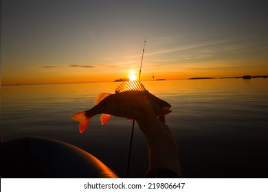 Favorite male leisure. Sunset lake, perch fishing with boat and rod, evening bite. Fishing at sunset key to peace of mind and good mood