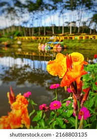 a favorite for over a century, Canna "Yellow King Humbert" produces as profusion of immense, rich deep yellow flowers copiously splashed with fiery orange. Blooming from mid summer to fall. - Shutterstock ID 2168803135