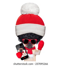 Fawn French Bulldog Dog Wearing Winter Clothing Taking A Selfie , Very Proud Of Its Big Curly Afro Wig Hair , Isolated On White Background, A Really Silly And Crazy Dumb Look