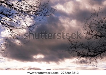 Faxcinating clouds with branches silhouetted