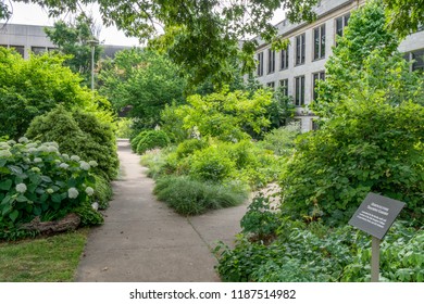 Garden Campus Images Stock Photos Vectors Shutterstock