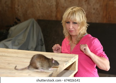 fear and phobia woman and rat