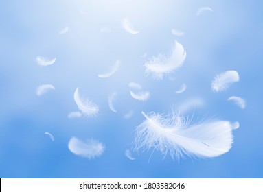 Light Weight White Feather Floating Sky Stock Photo (Edit Now) 1022385268