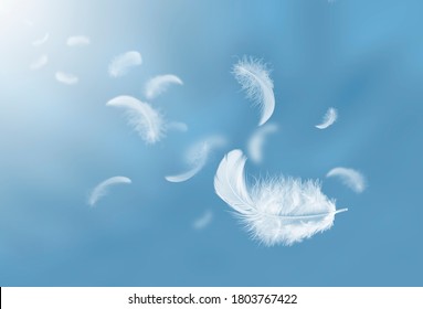 Feather abstract freedom concept. Group of light fluffy a white feathers floating in a blue sky. - Shutterstock ID 1803767422