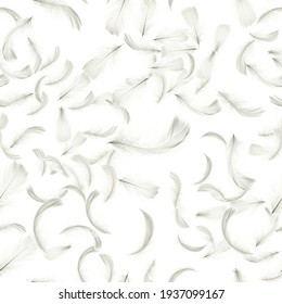 Plume Blanche Images Stock Photos Vectors Shutterstock Plume Blanche Images Stock Photos Vectors Shutterstock