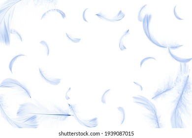 Feather banner. Pastel angel feather in pattern texture falling on white background. Glamorous sophisticated airy artistic image isolated on white