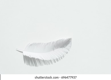 the feather of a bird made of white paper on white background. White on white - Shutterstock ID 696477937