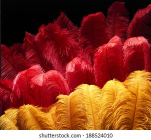 37,895 Carnival feather background Images, Stock Photos & Vectors