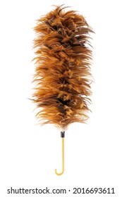 Feather Duster  Isolated On White Background.