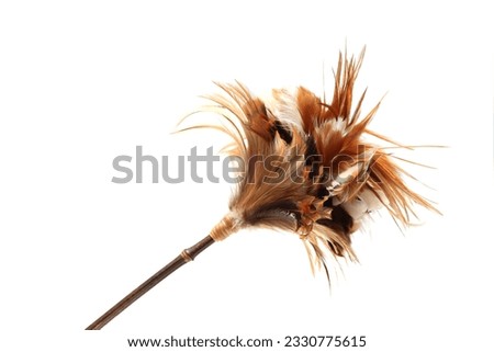 Feather duster isolated on a white background.