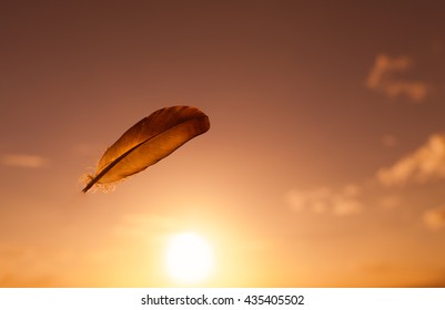 Feather Floating In The Sky.