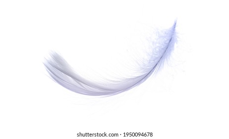 天使の輪と羽根 の写真素材 画像 写真 Shutterstock