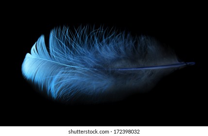Blue Feather Images, Stock Photos & Vectors | Shutterstock