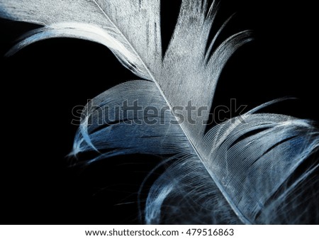 Image, Stock Photo spring-loaded Blue Black