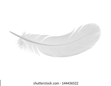 feather on a white background - Shutterstock ID 144436522