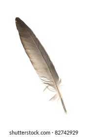 11,052 Eagle feather texture Images, Stock Photos & Vectors | Shutterstock