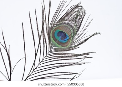 Peacock Feather Colourful Decorations Stock Photo (Edit Now) 1226099848