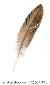 Feather Pen. Isolated On A White Background.