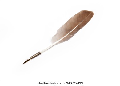 A feather quill pen isolated white at the studio.