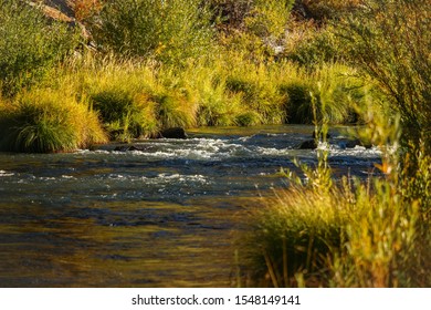 Feather River Autumn Colors Near Paxton, California.