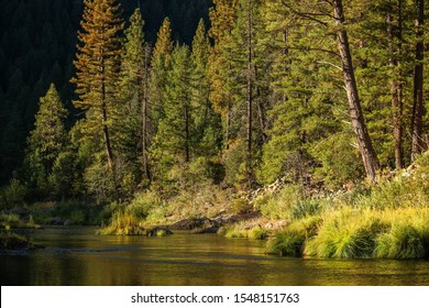 Feather River Canyon Riverbank Autumn Colors Near Paxton, California.