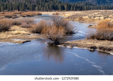 Feather River In Northern California During The Early Winter. 