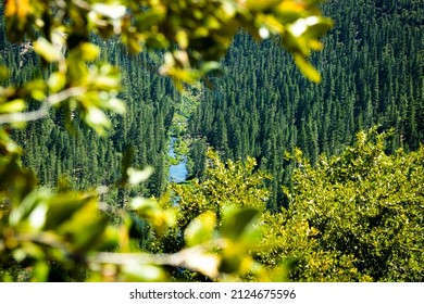 The Feather River Through The Oak Trees