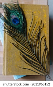 Peacock’s Feather Sitting On An Old Jane Austen Book