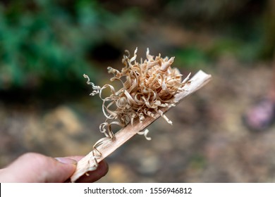 Feather stick for fire making